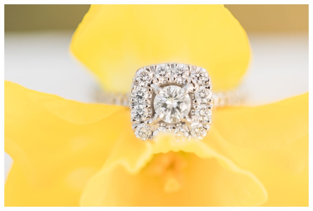 Wedding Photographer | Engagement Ring| Spring in NC 