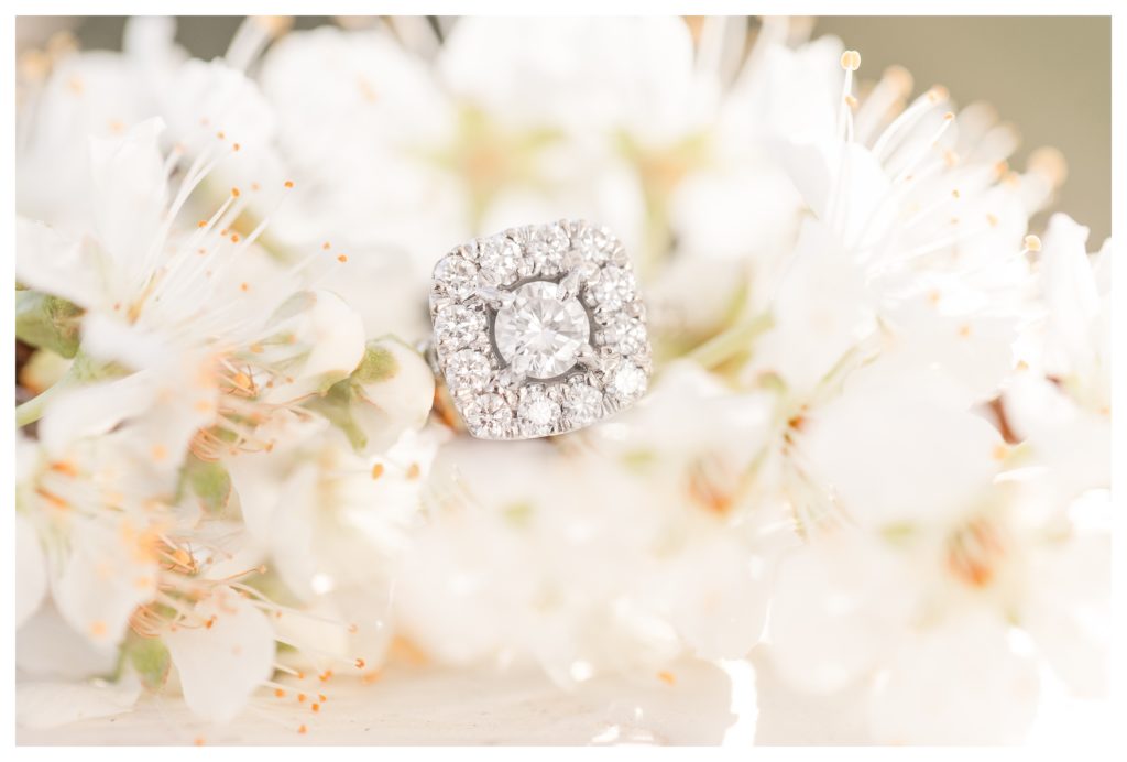 Wedding Photographer | Engagement Ring | NC Wedding 